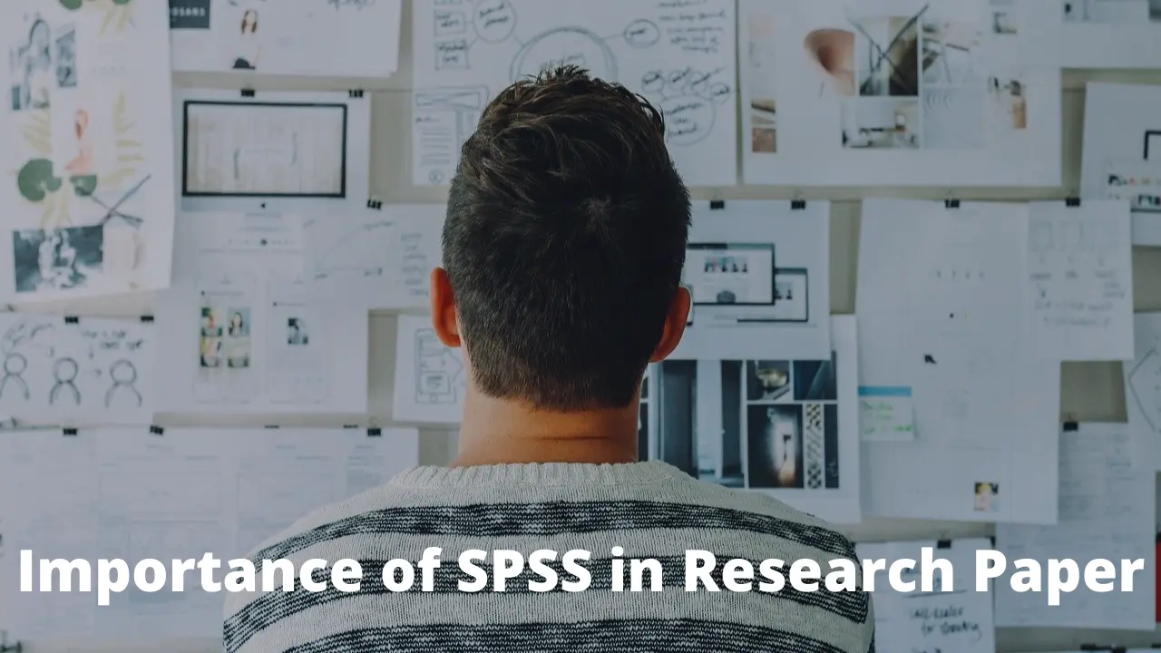 Importance of SPSS in Research Paper  analyses