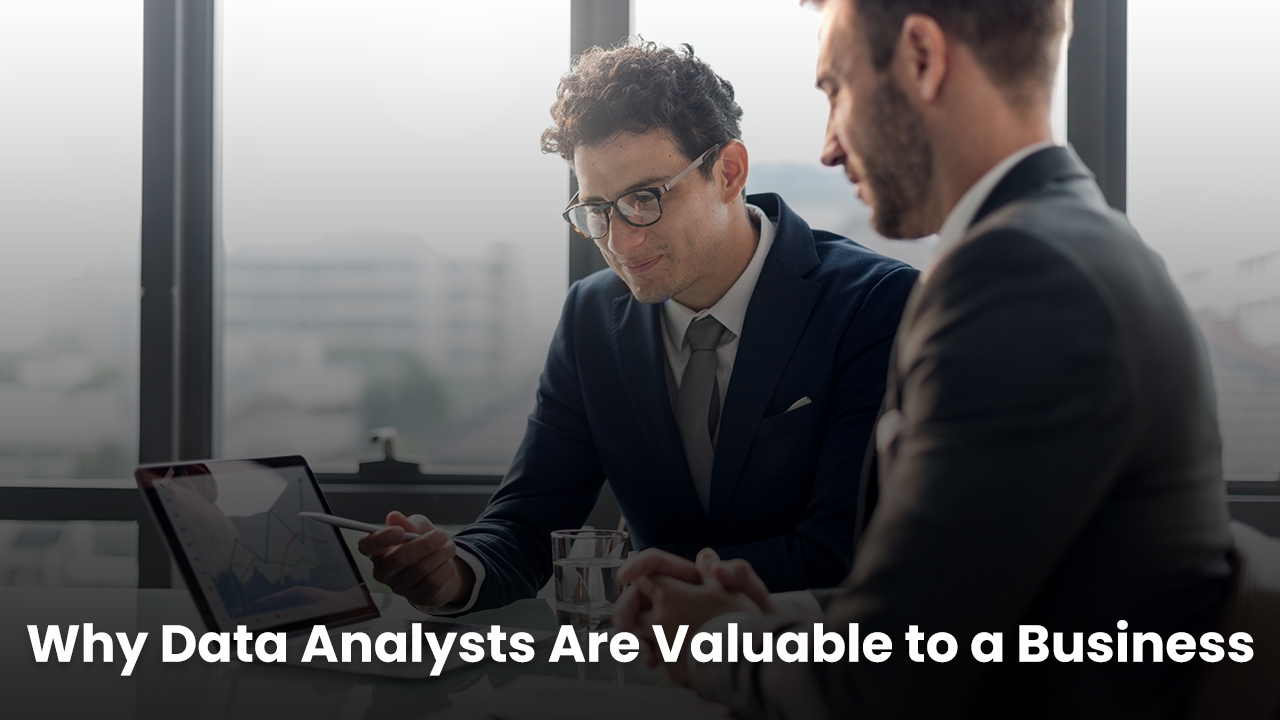 Why Data Analysts Are Valuable to a Business